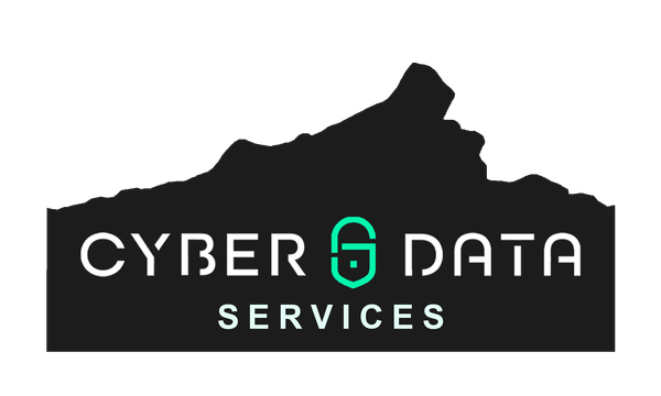Cyber Data Services logo